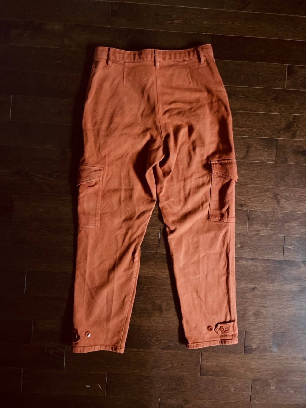 Aritzia Wilfred Free Modern Cargo Pants, Copper, Size 10 - Picture 2 of 8